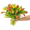 Kytice tulipánů